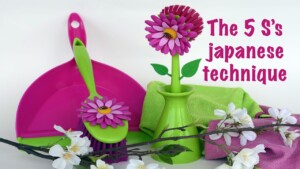 The 5 S’s Japanese technique used to maintain a tidy house