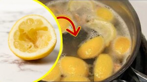 squeezed lemon