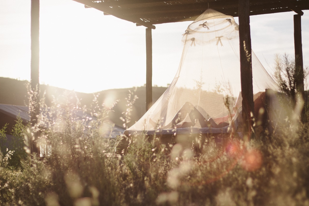 mosquito net outside