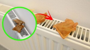 How putting tea bags on the radiator can save you money – the reason may surprise you