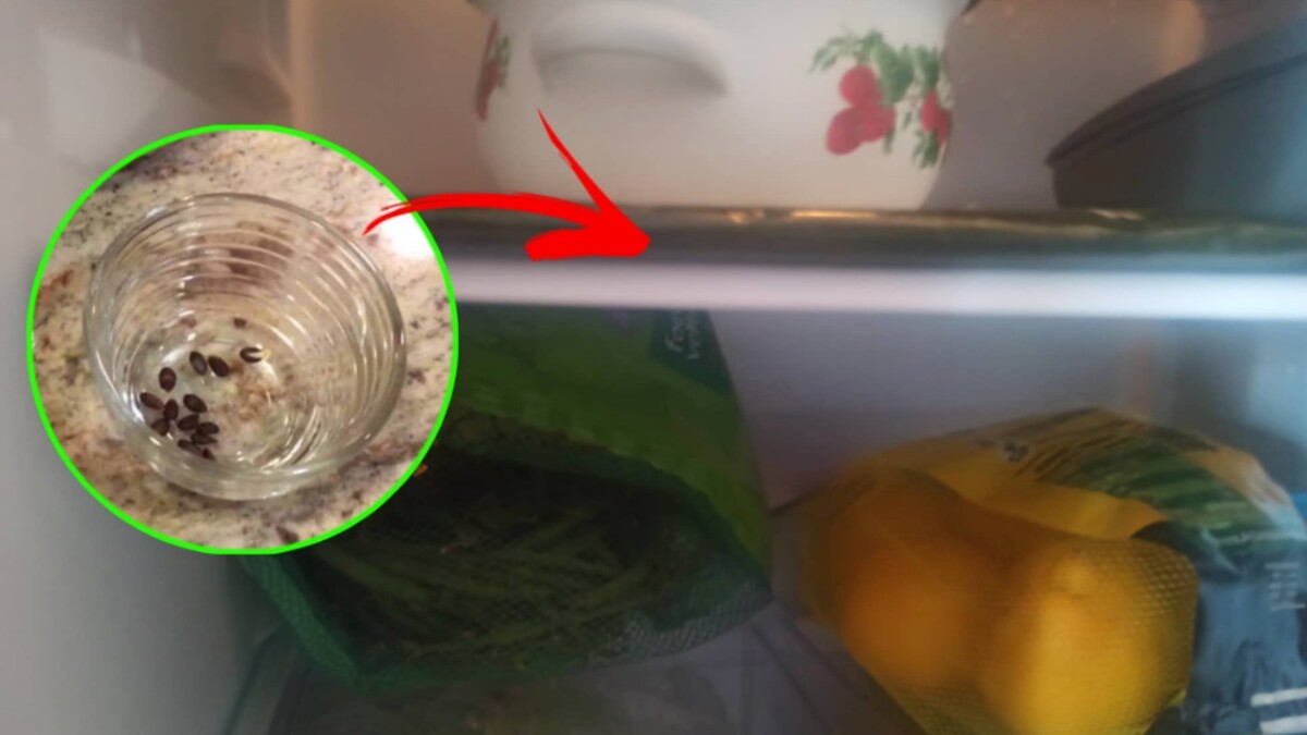 Why should I put apple seeds in the fridge? This little trick can help