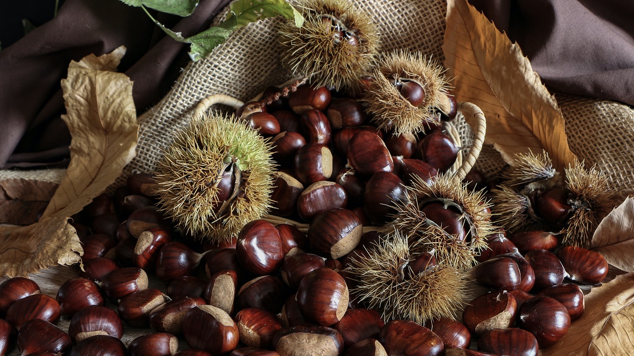 chestnuts chestnuts and leaves