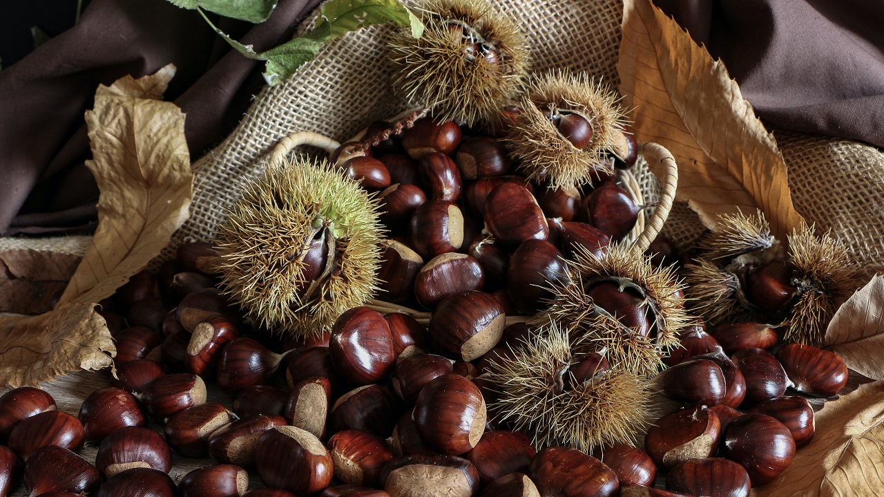 chestnuts and leaves