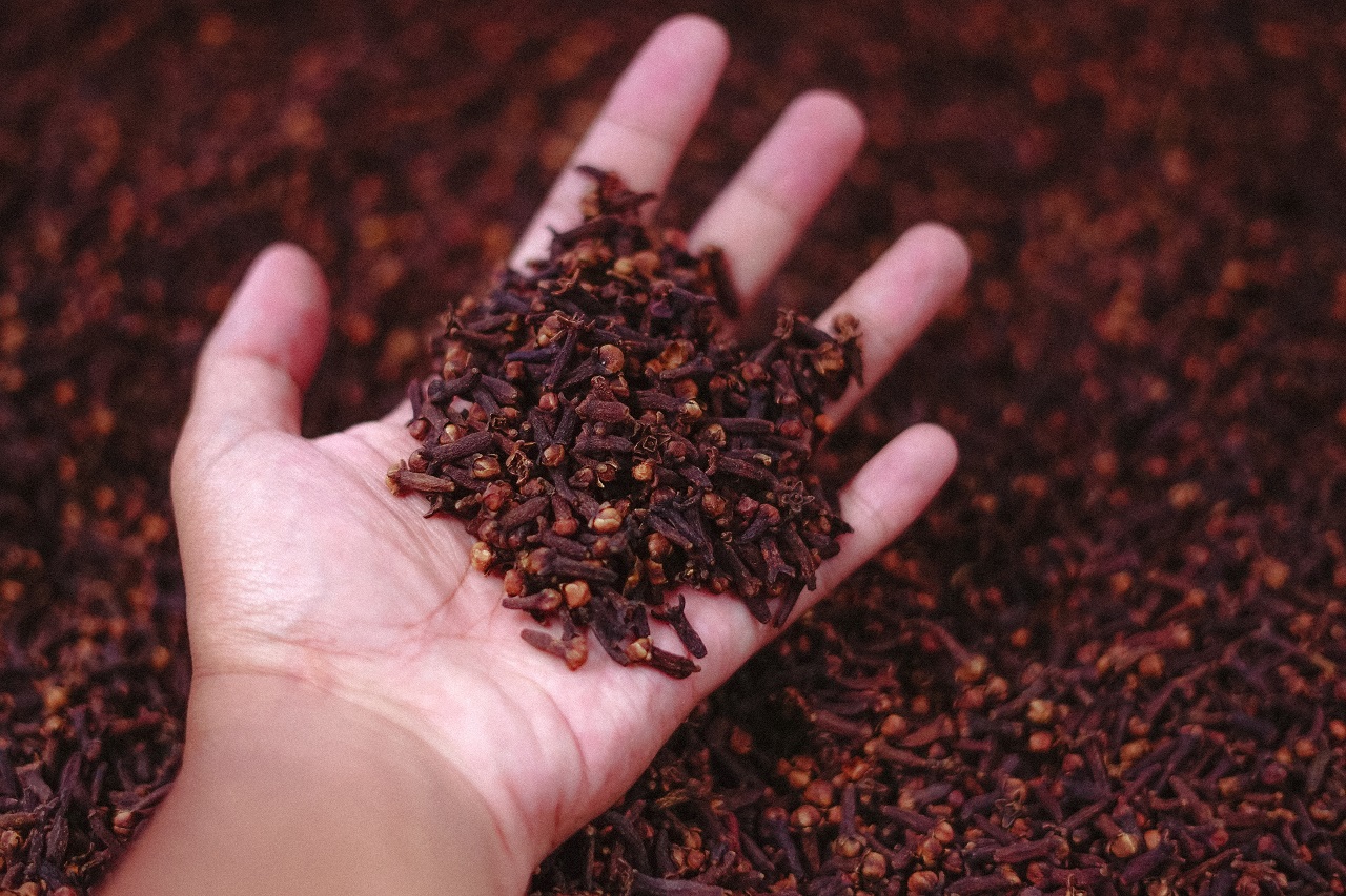 handful of cloves