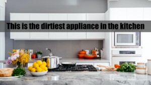 This is the dirtiest appliance in the kitchen: you should clean it daily