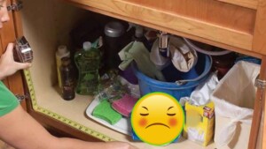 Things that you should never put under the kitchen sink