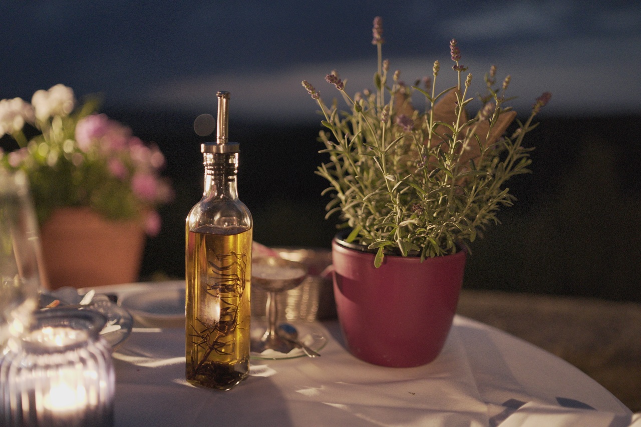 olive oil olive oil and plant