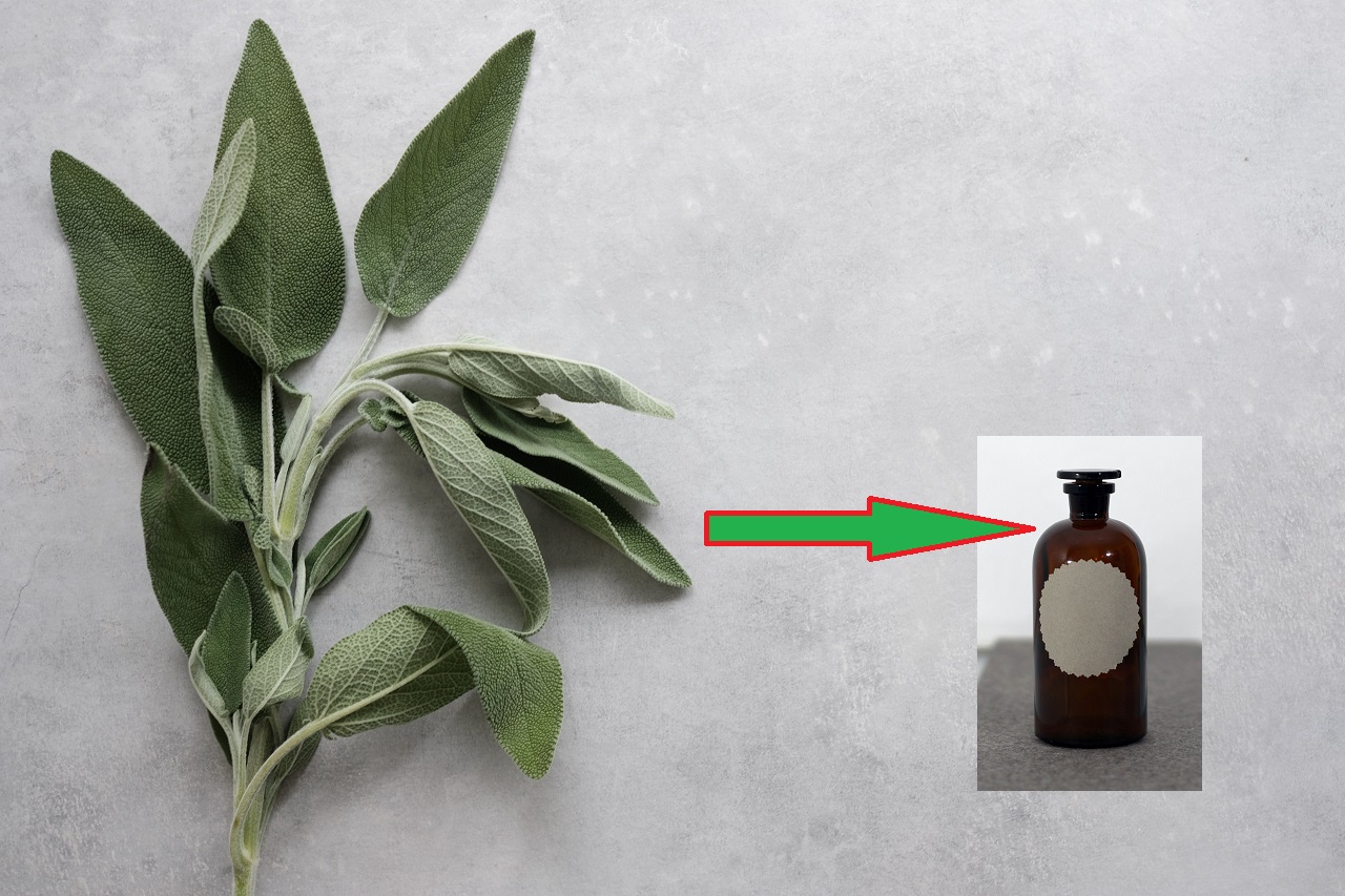 sage and bottle sage and bottle