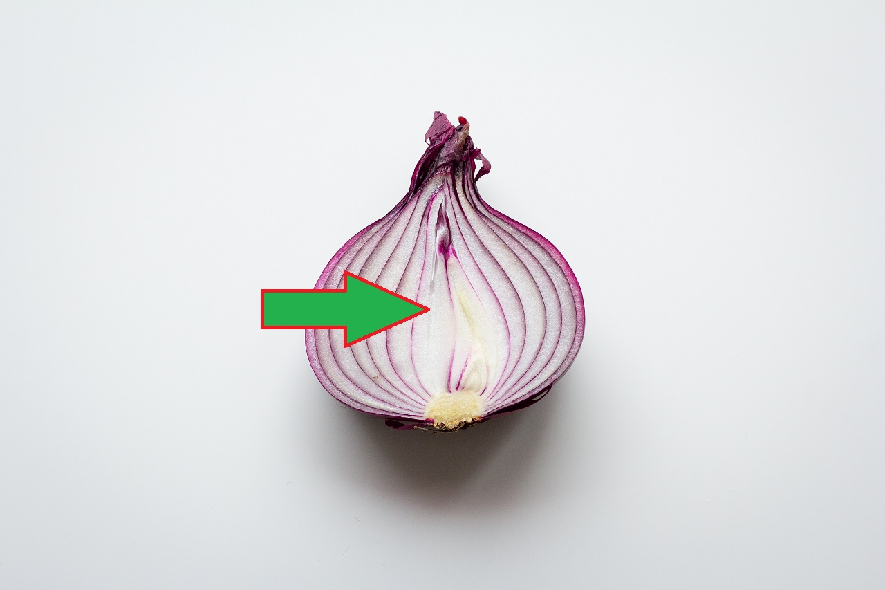 onion half