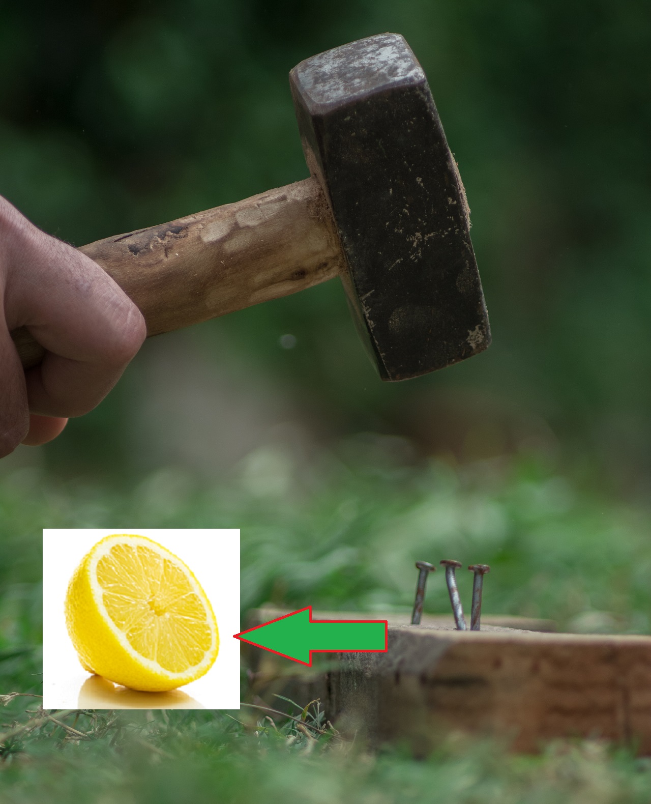 hammer nail lemon