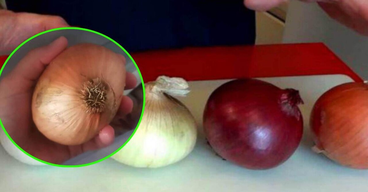 If you store onions in the fridge, you may want to consider changing