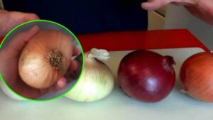 If you store onions in the fridge, you may want to consider changing this habit