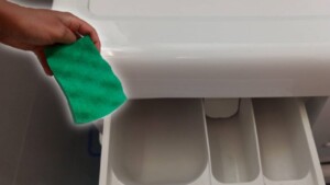 The benefits of running a sponge through the washing machine