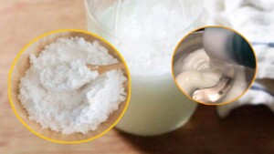 2 key ingredients for making a great homemade detergent