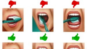 This will show you how to brush your teeth the right way