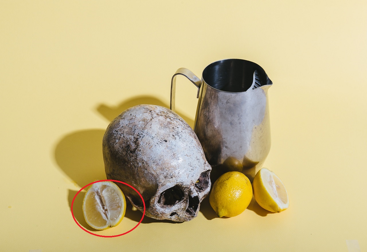 lemon skull and pitcher lemon skull pitcher