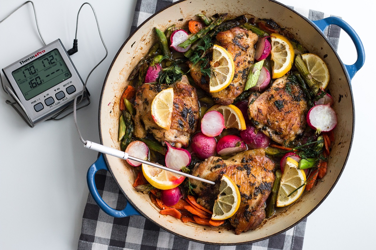 cooking thermometer food and cooking thermometer
