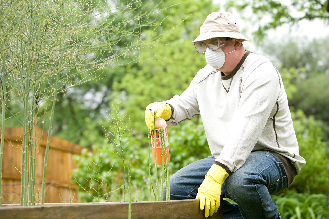 gardener and spray