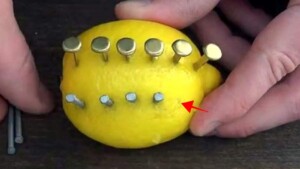 Why would someone put nails in a lemon? There is actually a good reason