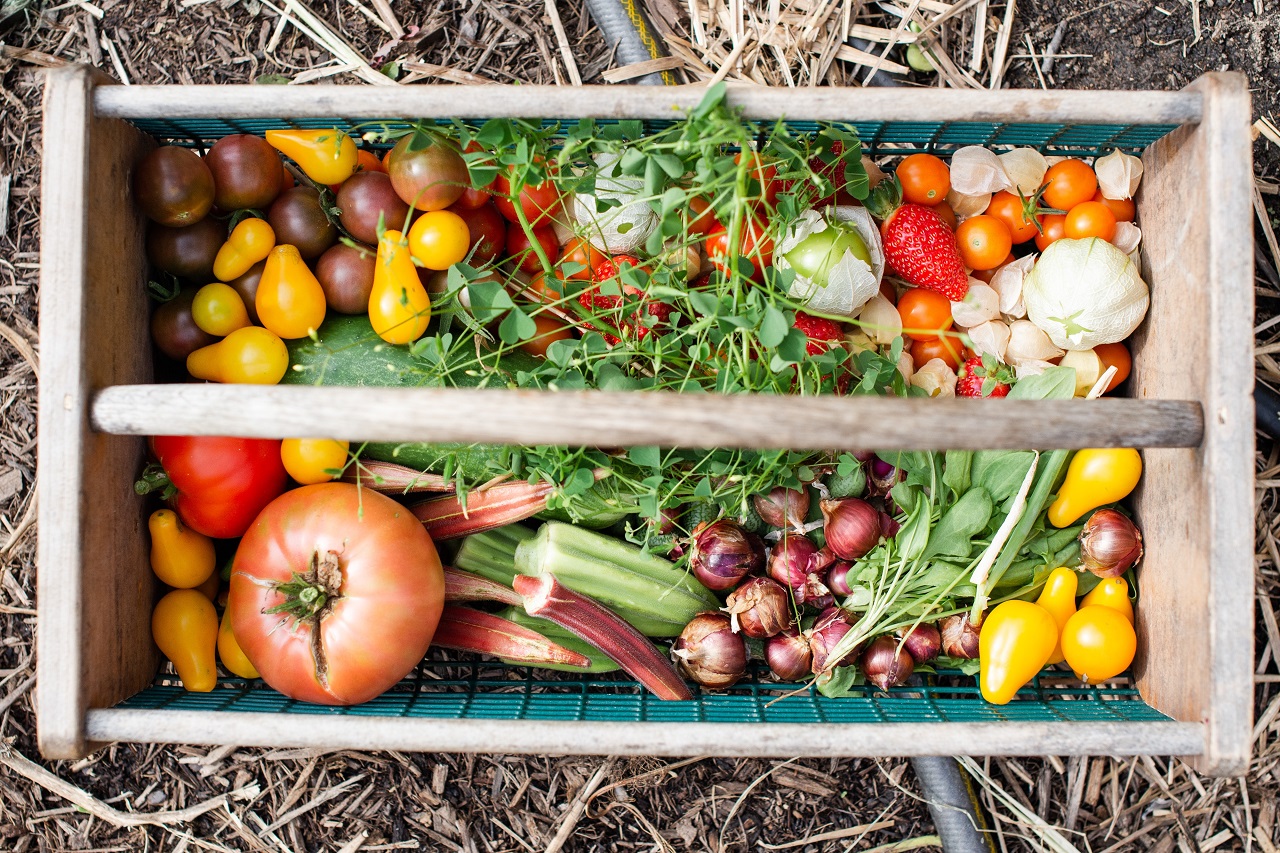 mixed vegetables in crate mixed vegatables