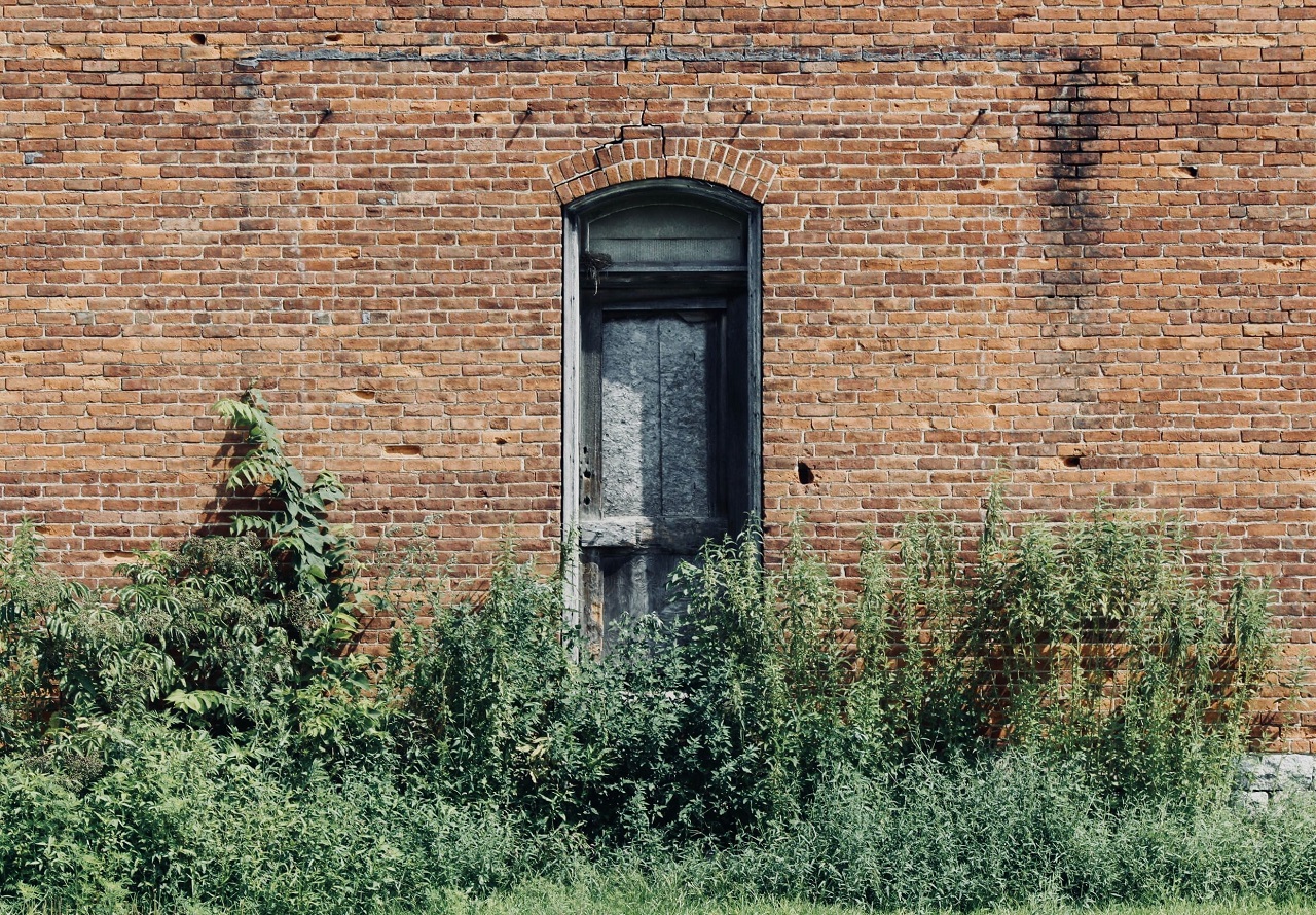 weeds and wall