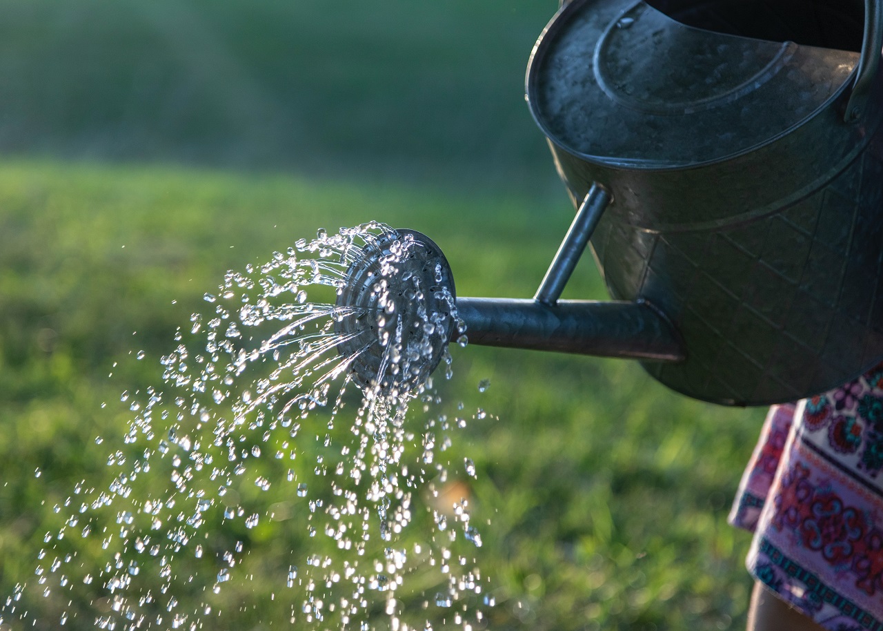 watering can watering can