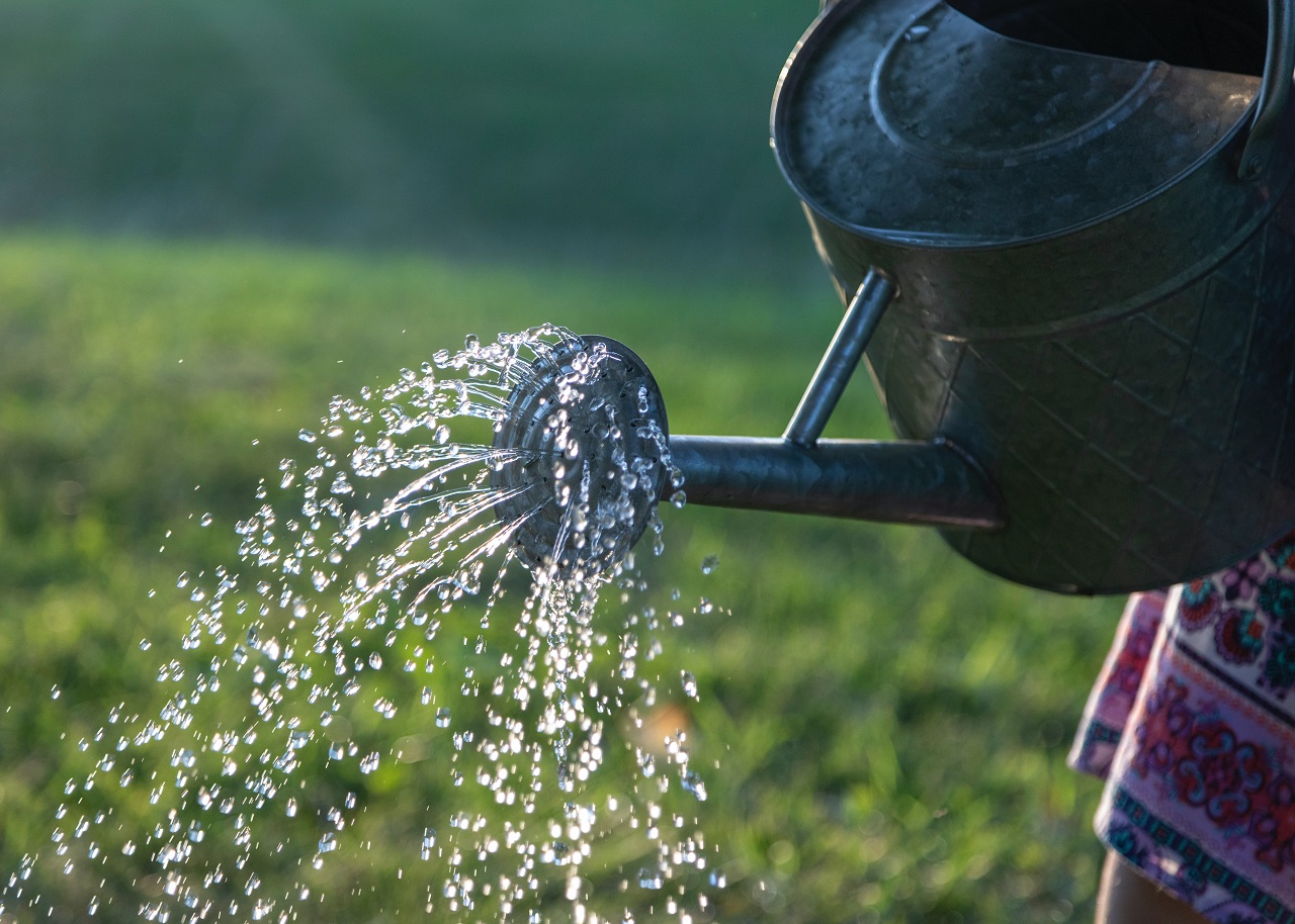 watering can