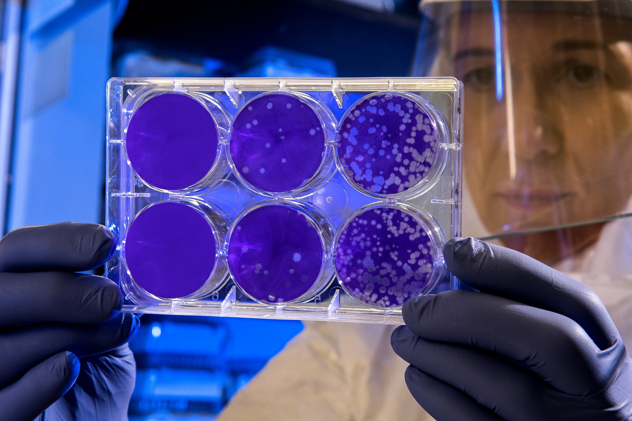 bacteria and scientist scientist bacteria