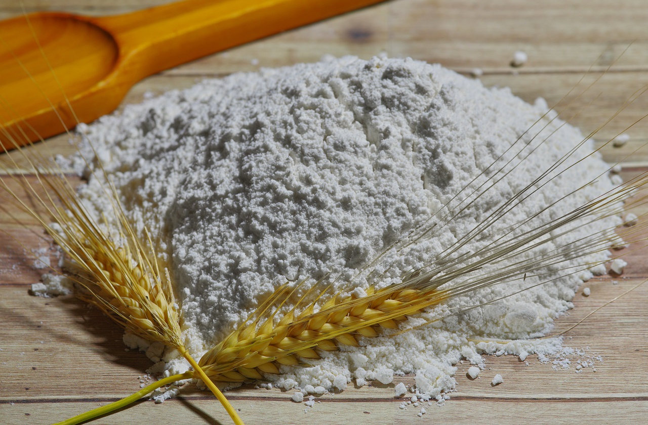 flour and wheat