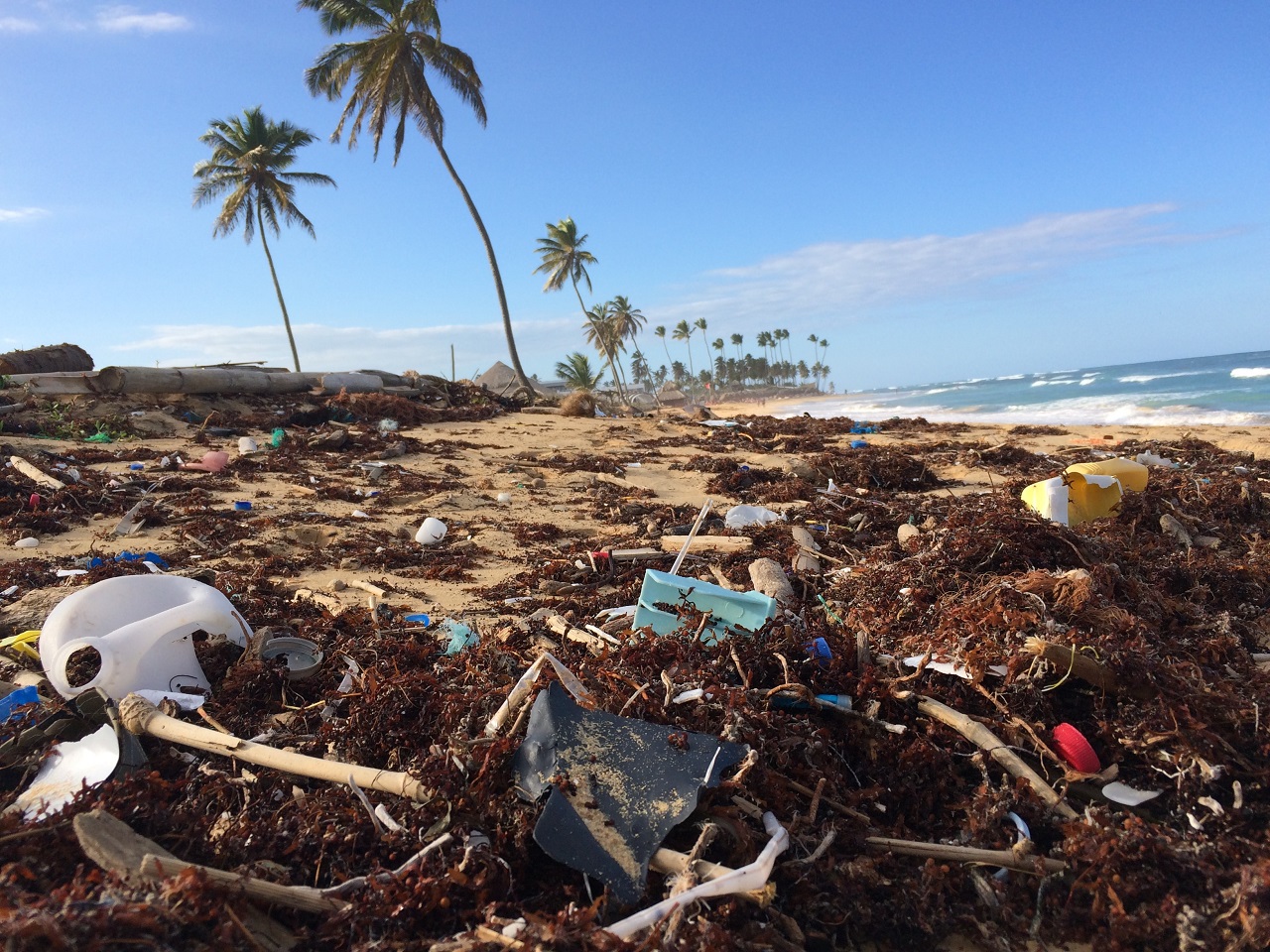 polluted beach