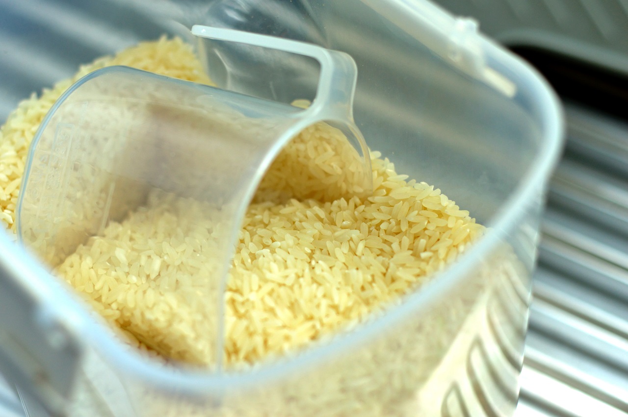 rice plastic container