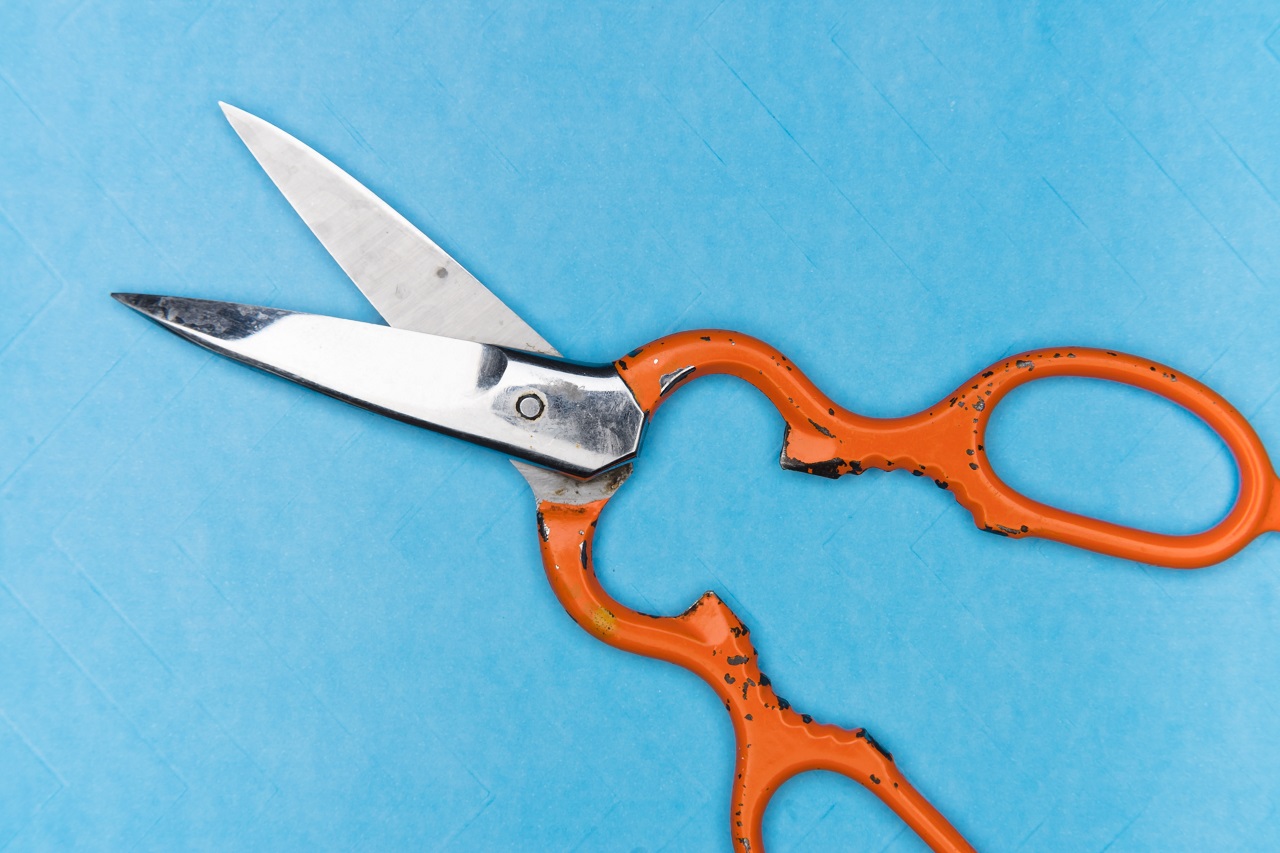 garden shears gardening shears