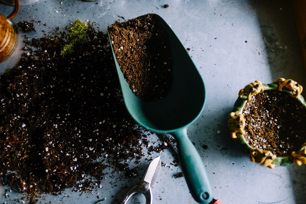 soil in scoop soil and scoop