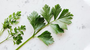 Just a Few Steps For an Endless Supply of Fresh Parsley