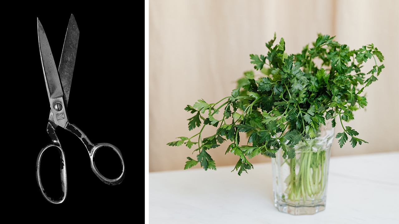 scissors and pieces of parsley