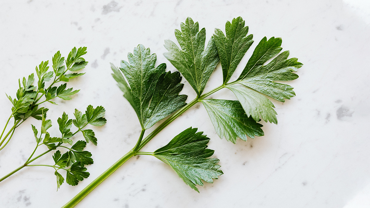 Parsley stems