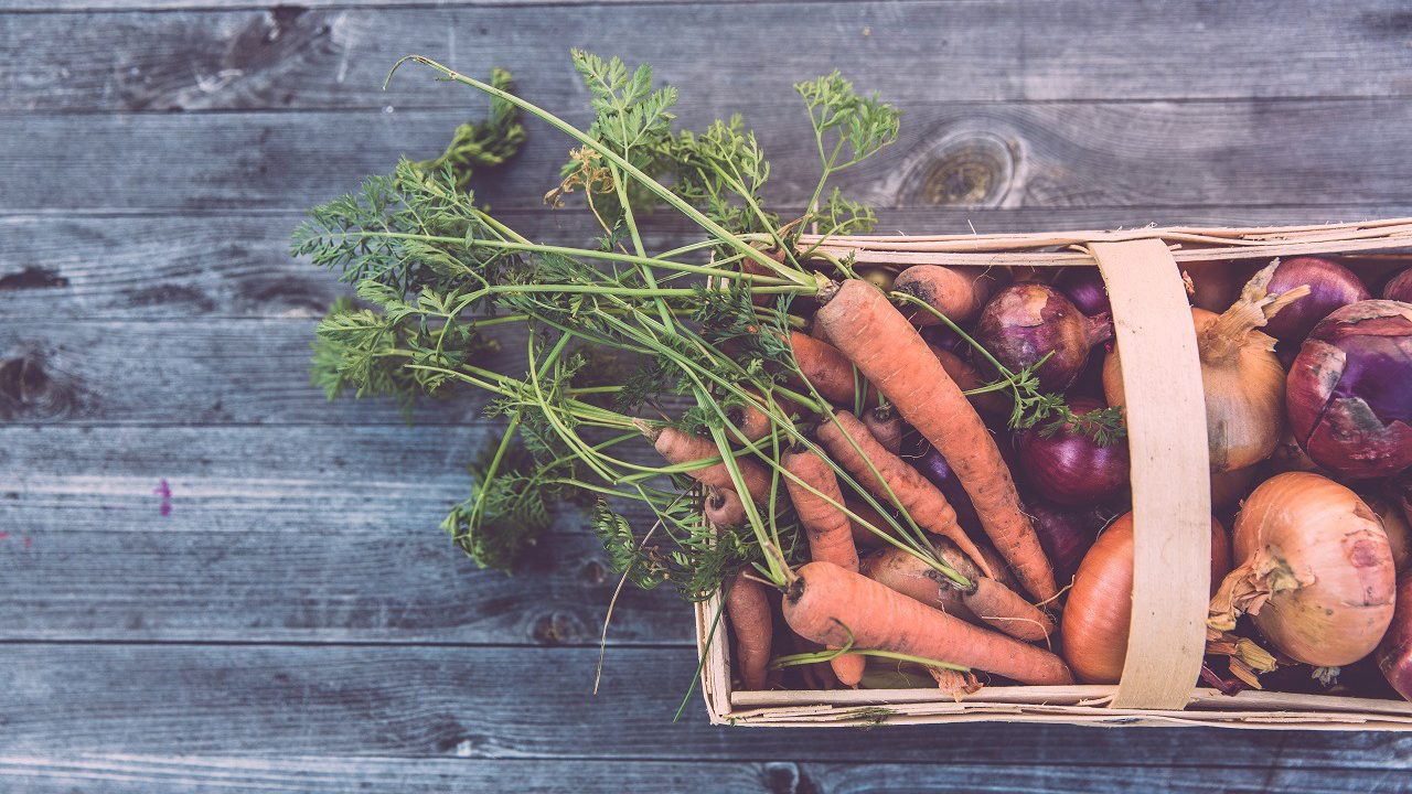 garden vegetables in basket