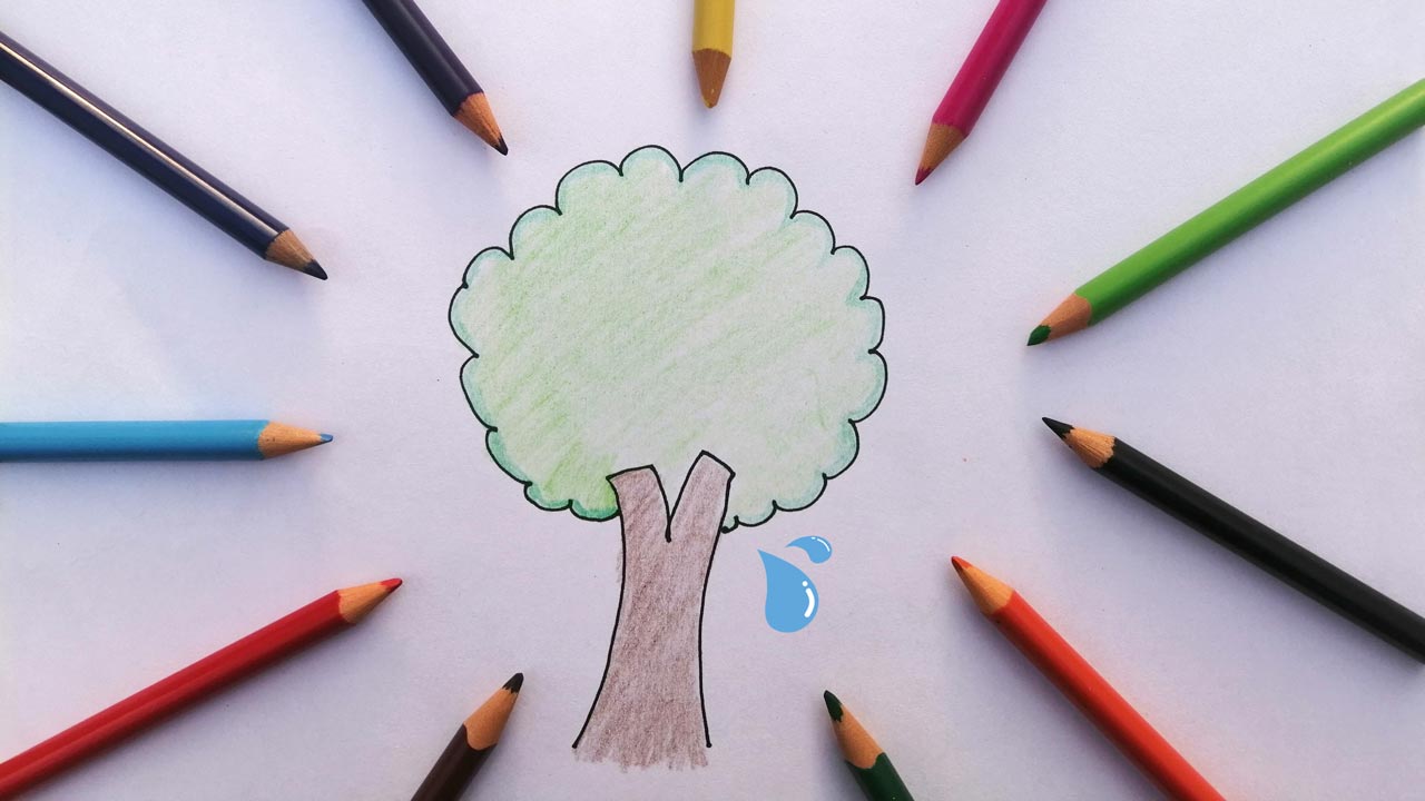 pencils and a drawing tree