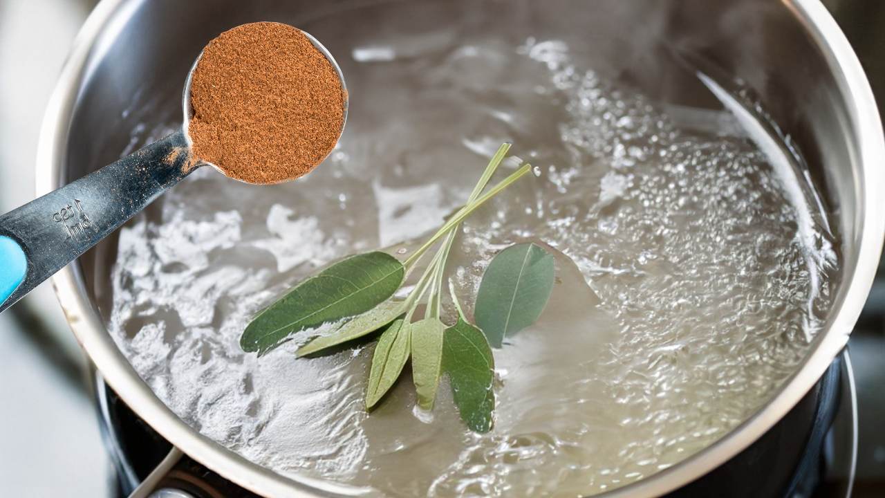 boil cinnamon and sage together