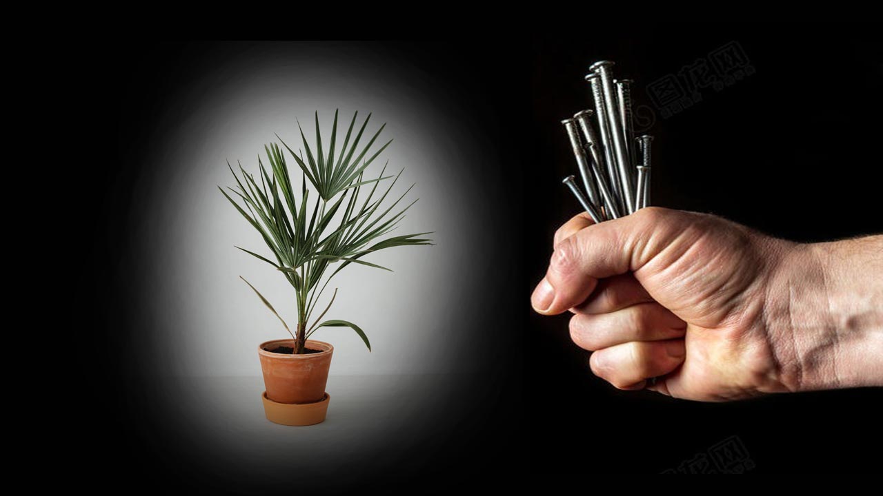 hand holds nails and plant