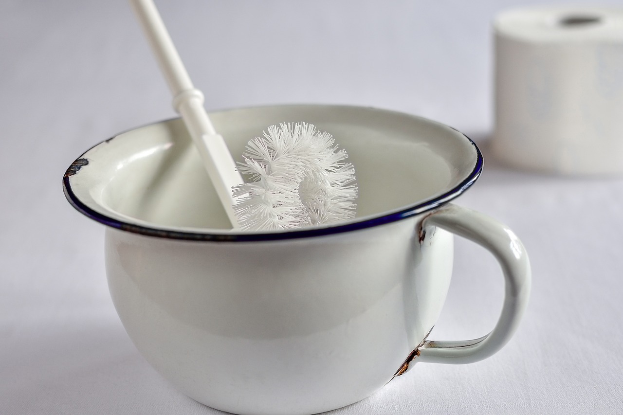 toilet brush in a bowl and a tissue paper
