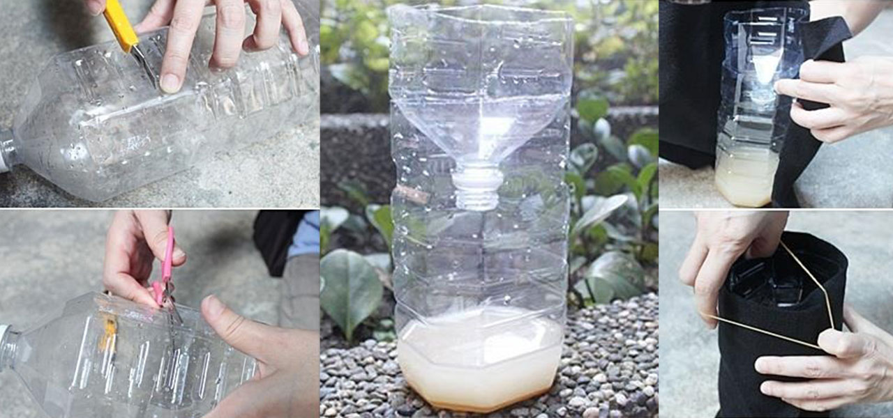steps for making mosquito trap