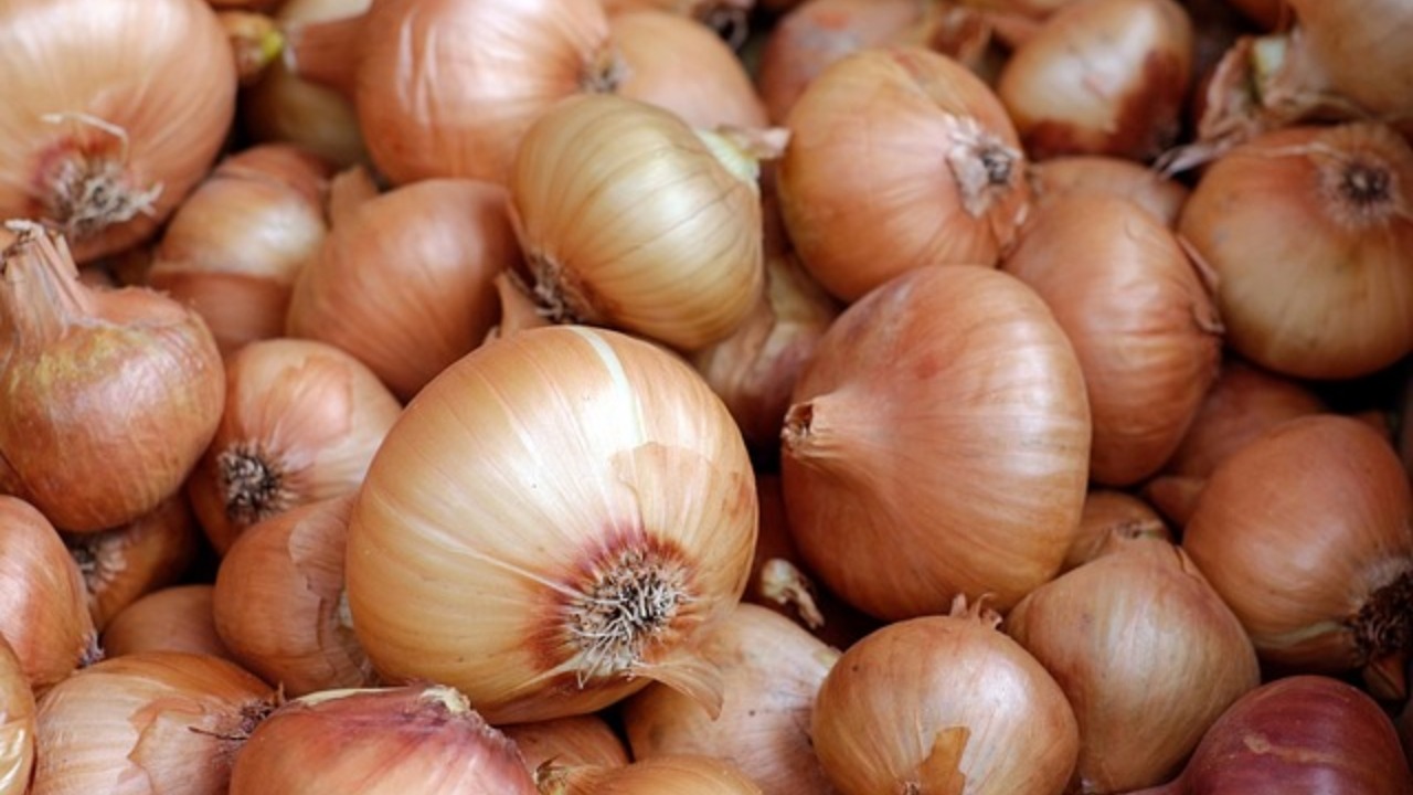 displaying white onions