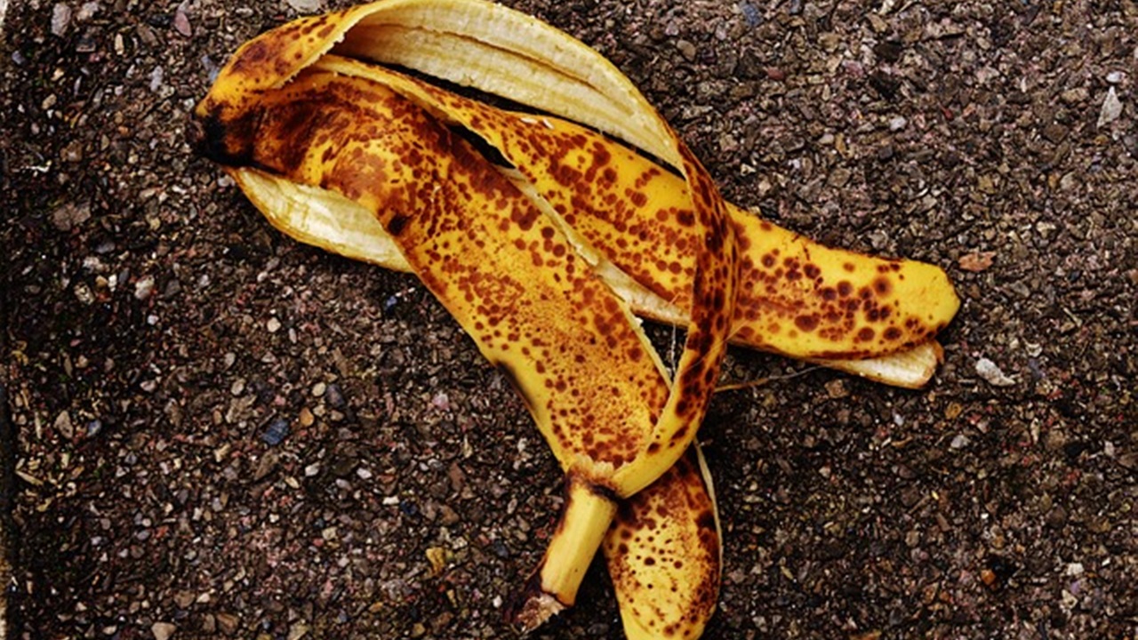 banana peels can boost fruit production in your plants