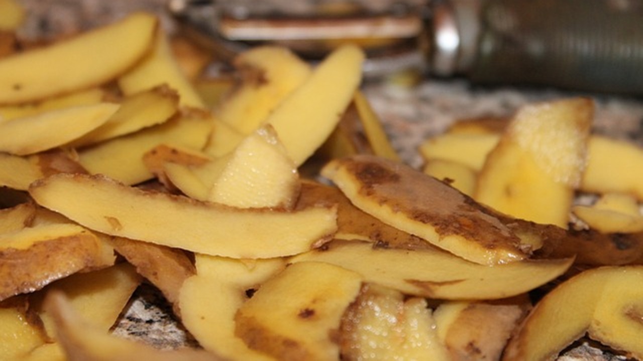 Potato peelings is also a good food fertilizers