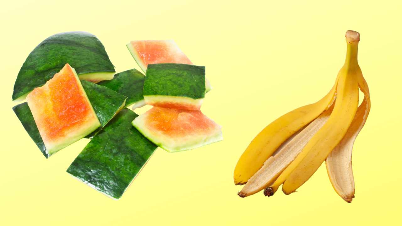 Fruit peels: how to create natural fertilizers for plants using these scraps