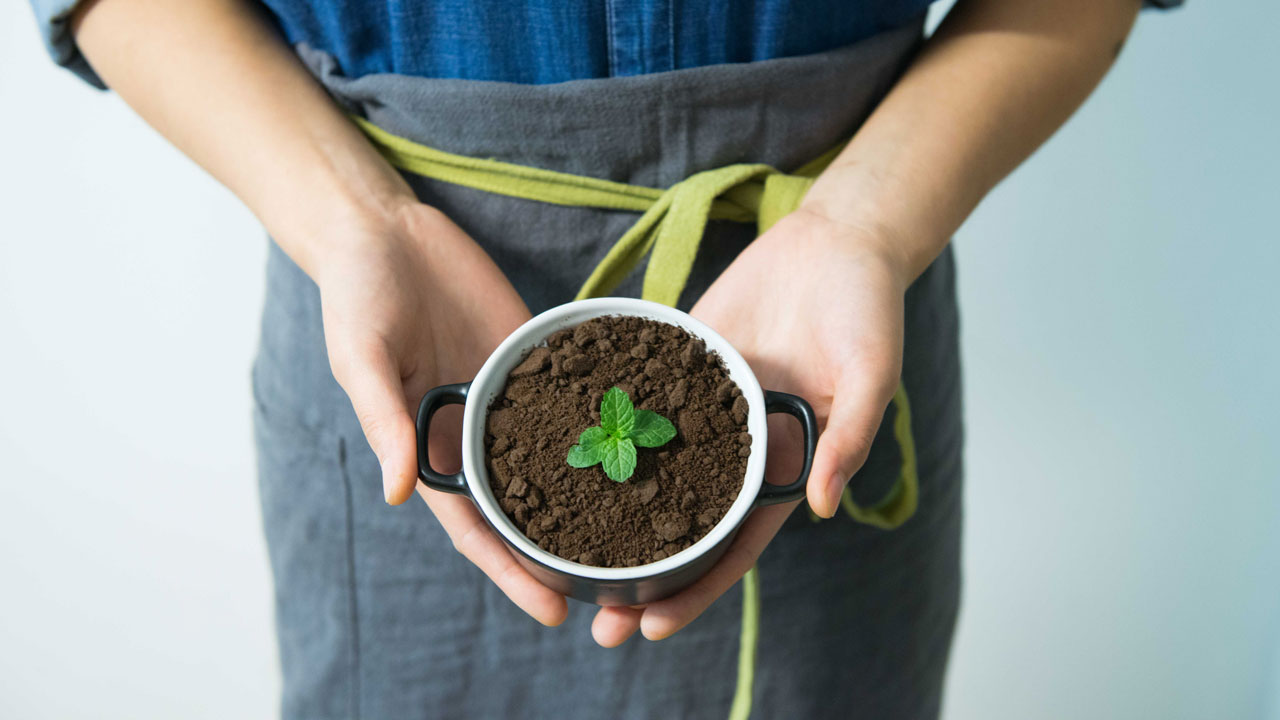 a person is holding a mint pot