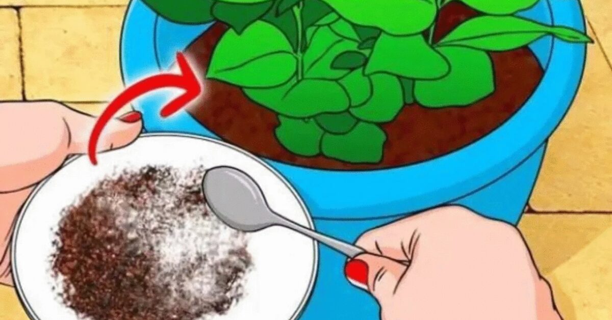 8 DIY Gardening Hacks That Will Keep Your Plants Looking Gorgeous