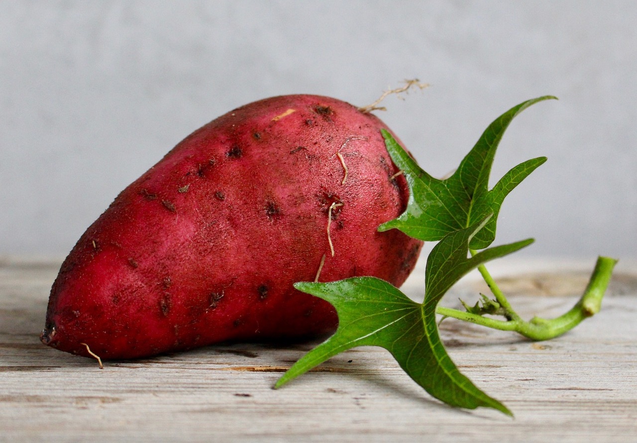 a sweet potato