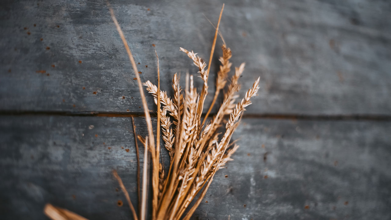 Barley is a cereal with high fiber content